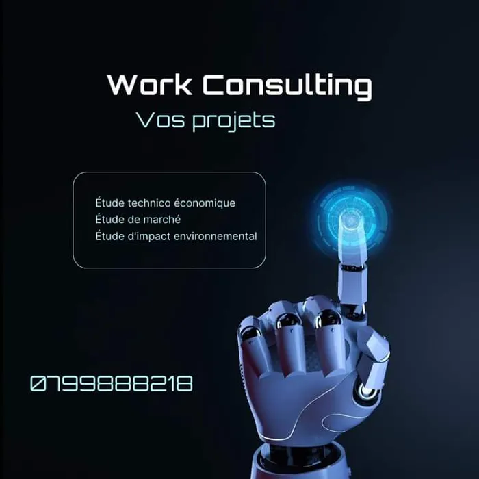 Work Consulting, Bureau d'étude et de conseils en investisse