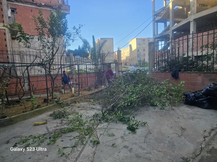 Travail en jardinage irréprochable