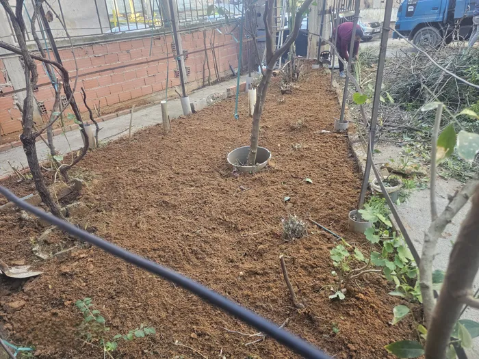 Travail en jardinage irréprochable