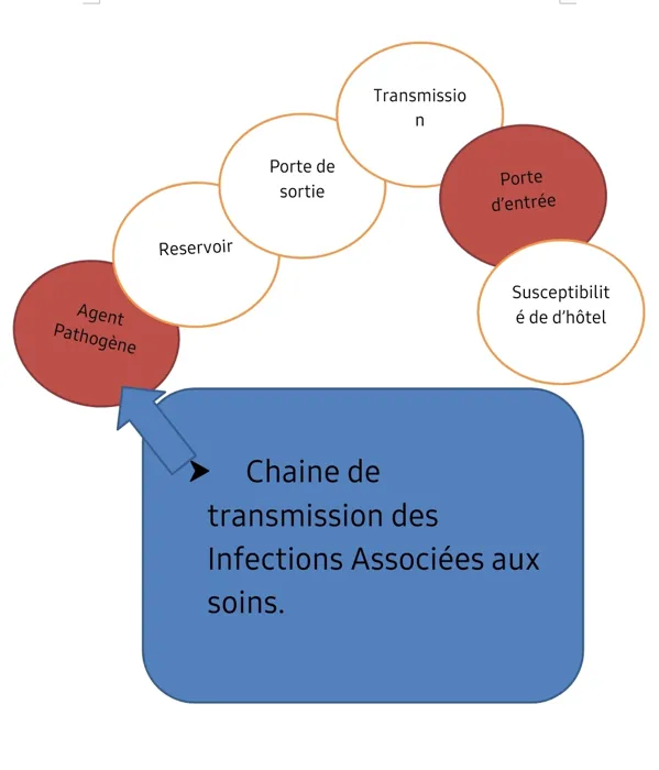 J'ai +20 ans d'expérience avec l'informatique, je peux saisi