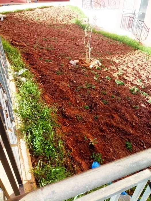 - nous faisons Le nettoyage fin de chantier après travaux de