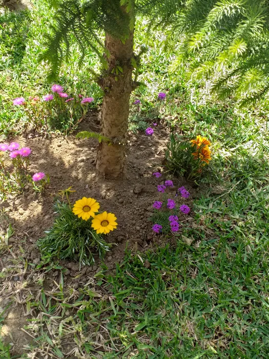 Avec 10 ans d'expérience dans le domaine du Jardinage.
Main