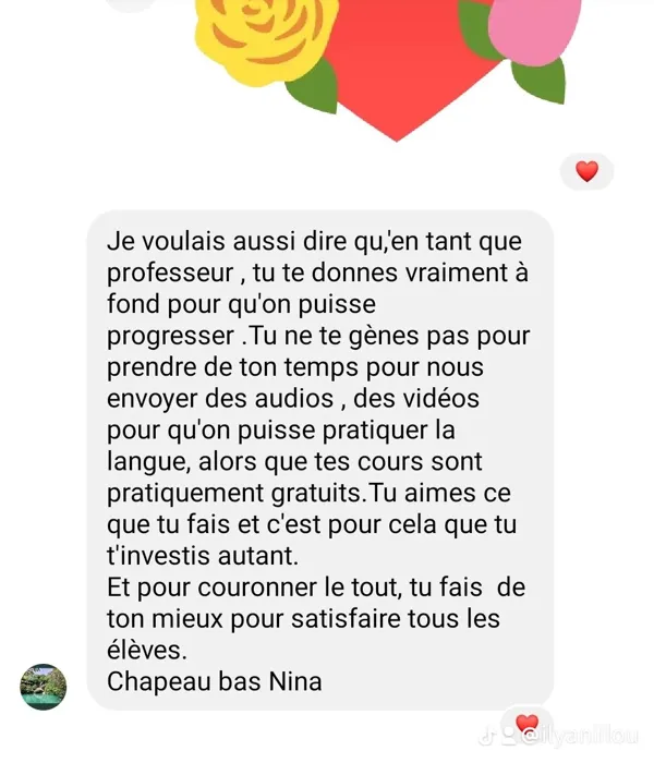 Je suis une enseignante pleinement qualifiée de langues angl