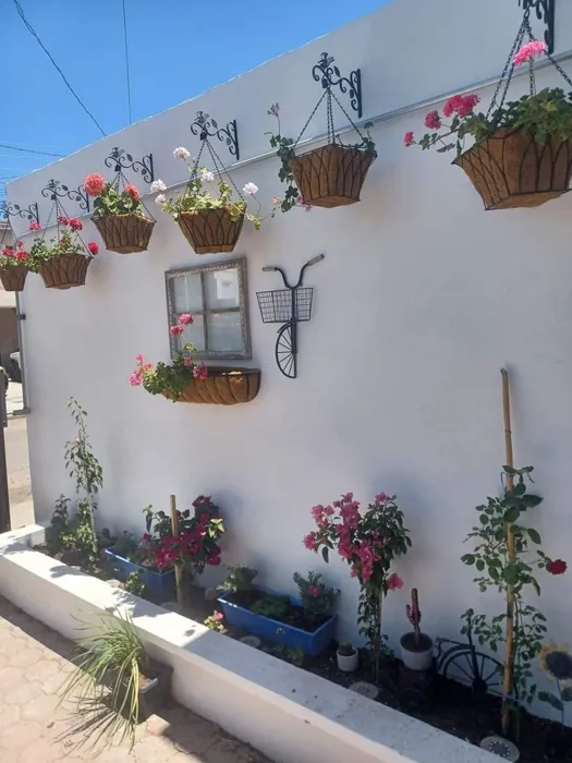 J'ai 10 d'expérience en jardinage,paysagiste, décoration pet