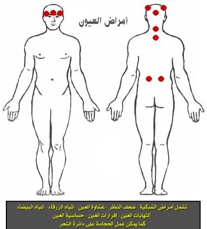 حياكم الله جميعا اخواني الكرام ..أخوكم معالج في الطب الأصيل 