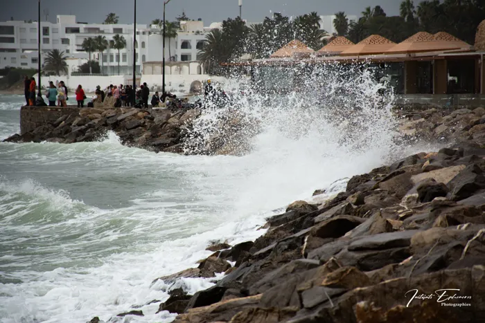 Photographe belge basé à Hammamet, Tunisie, je suis passionn