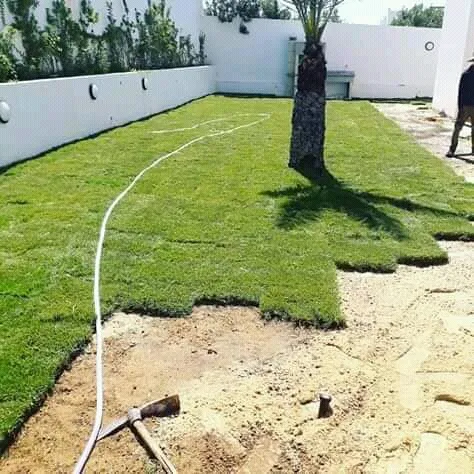 je travaille sur les espaces verts
تهيئة حدائق المنازل والمؤ