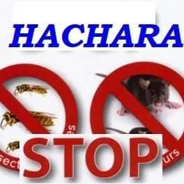 Ets hacharastop@gmail.com est entreprise spécialisée dans la