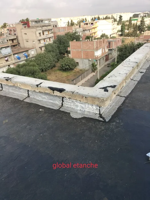 Etancheité Des Murs Et Terrasses
Nous somme une équipe de P