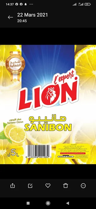 Lion � lesxpar