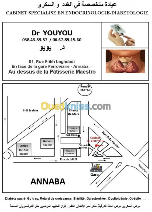 Médecin Spécialiste en Endocrinologie-
Docteur YOUYOU, Médec