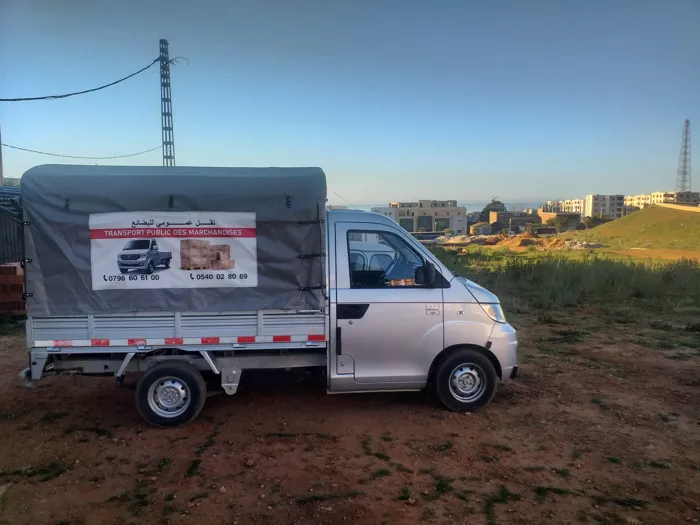 - Transporteur des marchandises et déménagement pour toutes 