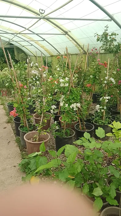 Aménagement de espace vert et nettoyer les espaces verts