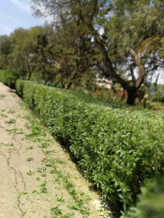 Noureddine, 42ans jardinier paysagiste depuis 2006, diplôme 