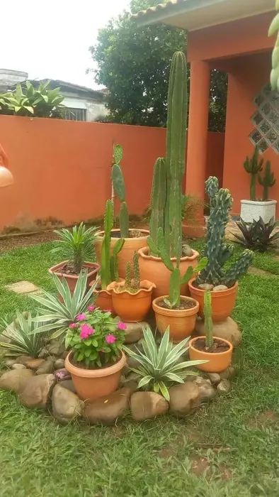 J'ai 10 d'expérience en jardinage,paysagiste, décoration pet