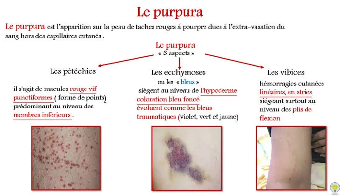 J'offre un service de cours de soutien en sciences médicales